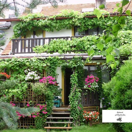 Apartament Pod Strzelecka Gora 옐레니아구라 외부 사진